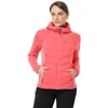 Striukė Jack Wolfskin Tasman Jkt W 1707272-2072