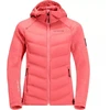 Striukė Jack Wolfskin Tasman Jkt W 1707272-2072
