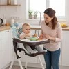 Sulankstoma maitinimo kėdutė vaikams su žaislais, ECOTOYS