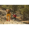Šunų batai Ruffwear Grip Trex, juodi, XS
