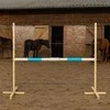 Šuolių kliūtis Hobby Horse šviesiai mėlyna 160×120 cm