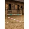 Šuolių kliūtis hobby horsing 160×120 cm su dviem kartelėmis mentos ir šviesiai rožinė