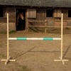 Šuolių kliūtis hobiarkliams 160×120 cm su mėtų spalvos kartimi