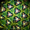 Svoora - Besisukantis kaleidoskopas - Miškas