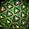 Svoora - Besisukantis kaleidoskopas - Miškas