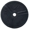 Martes Svorio plokštė 10KG