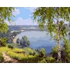 Tapyba pagal skaičius Lake View 40x50 cm
