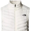 The North Face moteriška Huila sintetinė liemenė NF0A8DW5QLI1 smėlio L