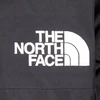The North Face Vyriška GTX kalnų striukė NF0A831MKX81 Juoda L