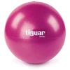 Kamuolys mankštai TIGUAR Easy Ball, 23cm