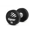 Profesionalus PU svarmuo / hantelis TIGUAR 1–70 kg (Svoris: 10 kg)