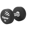 Profesionalus PU svarmuo / hantelis TIGUAR 1–70 kg (Svoris: 10 kg)