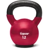 Gumuotas svarstis (gyra) TIGUAR, 12 kg
