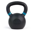 tiguar svoris (kettlebell) RAW 14 kg V2