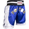 TOP TEN kick-light šortai (WAKO patvirtinta)
