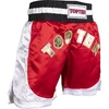 TOP TEN kick-light šortai (WAKO patvirtinta)