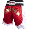 TOP TEN kick-light šortai (WAKO patvirtinta)