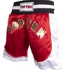 TOP TEN kick-light šortai (WAKO patvirtinta)