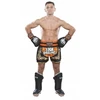 TOP TEN neoniniai Muay Thai šortai