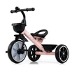 Baby Bike triratukas Milly Mally Bobby Rožinė