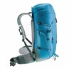 Turistinė kuprinė Deuter Trail 30L