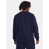 Under Armor Fliso Crew M 1379755-410 bliuzonas