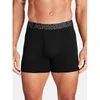 Under Armour Bokseriai M 1383889-001