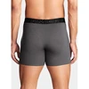 Under Armour bokseriai M 1383889-025
