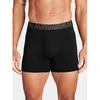 Under Armour Bokseriai M 1383891-001