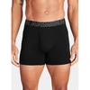 Under Armour Bokseriai M 1383891-001