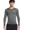 Under Armour HG Armor Comp marškinėliai ilgomis rankovėmis M 1361524 025
