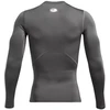 Under Armour HG Armor Comp marškinėliai ilgomis rankovėmis M 1361524 025