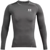 Under Armour HG Armor Comp marškinėliai ilgomis rankovėmis M 1361524 025