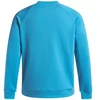 Under Armour Rival Fleece Crew M 1379755 452 sportinis megztinis