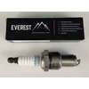 UŽDEGIMO ŽVAKĖ EVEREST 11-06037 LONCIN, NAC