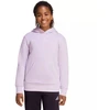 Vaikams adidas Essentials Hoody šviesiai violetinė KS0366