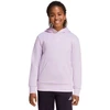Vaikams adidas Essentials Hoody šviesiai violetinė KS0366