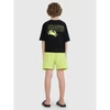 Vaikinų boardshort'ai 4F 4FJRMM00UBDSM110-45S