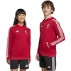 Vaikiškas adidas Liverpool FC bliuzonas su gobtuvu HD JW7904