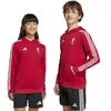 Vaikiškas adidas Liverpool FC bliuzonas su gobtuvu HD JW7904