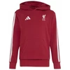 Vaikiškas džemperis su gobtuvu adidas Liverpool FC, bordo