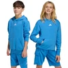 Vaikiškas mėlynas džemperis su gobtuvu adidas Essentials KD3382