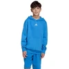 Vaikiškas mėlynas džemperis su gobtuvu adidas Essentials KD3382