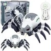 Lean Toys RC voro robotas