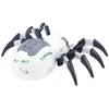 Lean Toys RC voro robotas