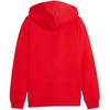 Vaikiškas Puma teamGoal Casuals džemperis su gobtuvu, raudonas 658596 01