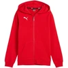 Vaikiškas Puma teamGoal Casuals džemperis su gobtuvu, raudonas 658596 01