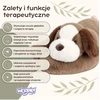 WOOPIE pliušinis šuo 2,5kg 65 cm