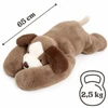 WOOPIE pliušinis šuo 2,5kg 65 cm