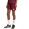 Vaikiški bordo spalvos šortai Entrada 26 JZ6527 adidas